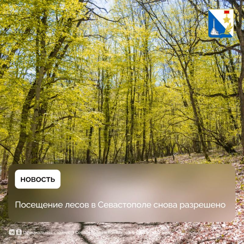 Севастопольские леса снова открыты для прогулок и отдыха