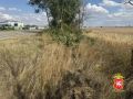 В Красногвардейском районе несовершеннолетний водитель на иномарке врезался в дерево