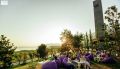 ����� �������� � �����: ���������� ��������� � ���� �������, WINEPARK Fest, �������� ����