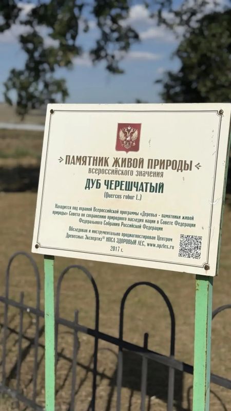 В мире часто встречаются несочетаемые (на первый взгляд) вещи В мире часто встречаются несочетаемые (на первый взгляд) вещи
