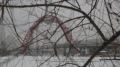 Осенняя вода требует особого внимания! Инспекторский участок ГИМС МЧС России напоминает: С наступлением осени риск несчастных случаев на воде возрастает из-за холодной воды и переменчивой погоды