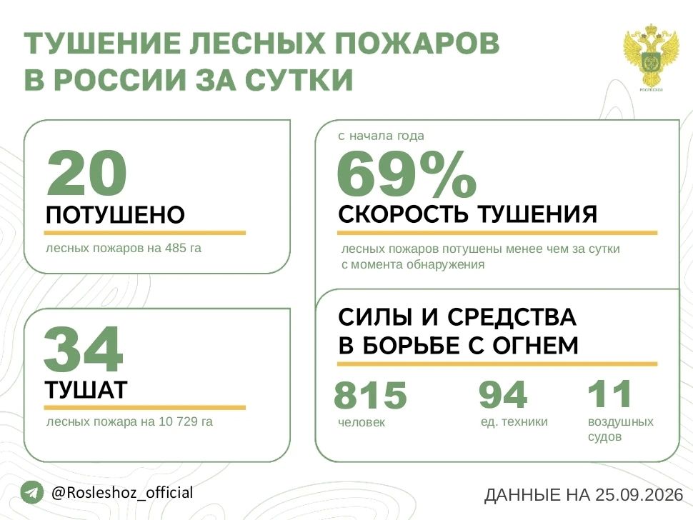 За прошедшие сутки в 13 регионах России потушили 20 лесных пожаров