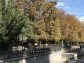 Из лета — в осень.. Бархатный сезон в крымской столице в самом разгаре