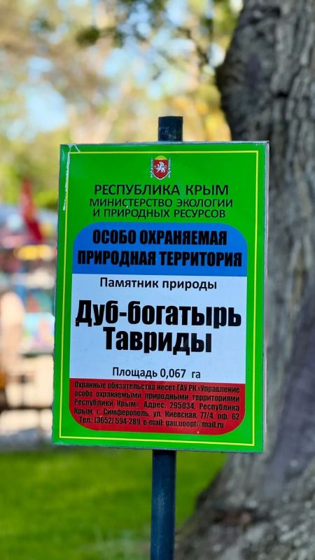 В мире часто встречаются несочетаемые (на первый взгляд) вещи В мире часто встречаются несочетаемые (на первый взгляд) вещи