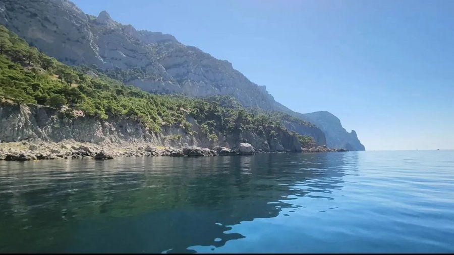 Лесничие и спасатели проверили побережье Севастополя с воды Лесничие и спасатели проверили побережье Севастополя с воды
