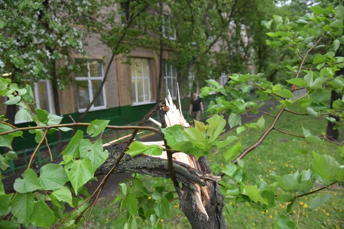 В Крыму прогнозируют подтопления и падение деревьев из-за штормового ветра и дождя