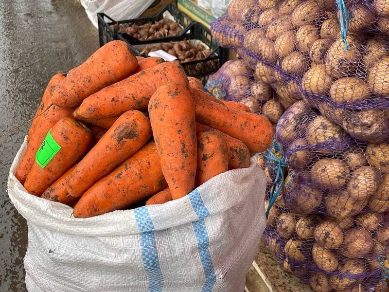 Эксперт: рынок овощей из "борщевого набора" в Крыму ждут изменения