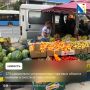 В Севастополе убрали 373 незаконно установленных торговых объекта