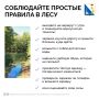 Осенние походы в леса Севастополя: что важно помнить после снятия запрета на посещение