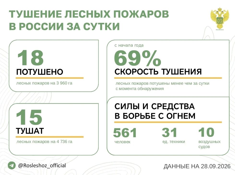 За прошедшие сутки в 9 регионах России потушили 18 лесных пожаров