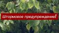 � ����� ��������� ��������� ��������������
