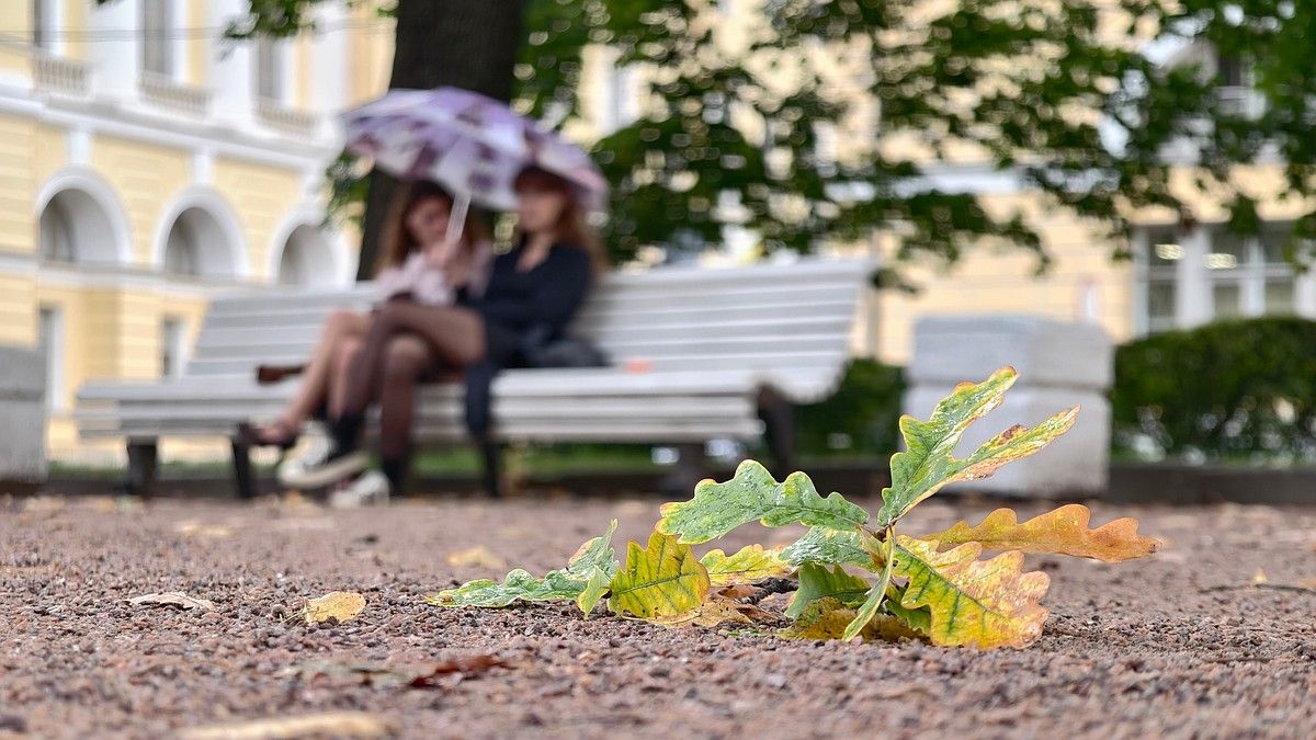 Крым прощается с летом: какой будет последняя неделя сентября на полуострове