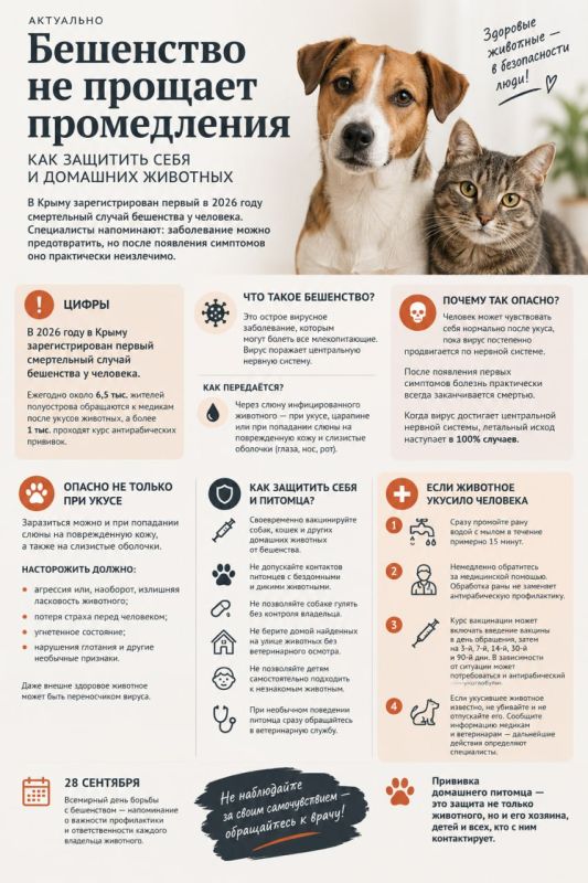 Бешенство не прощает промедления