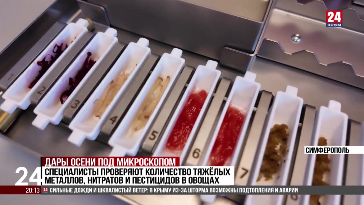 Больше 30 тысяч тонн овощей исследовали в Крыму в 2026 году