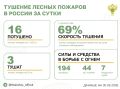 За прошедшие сутки в 9 регионах России потушили 16 лесных пожаров