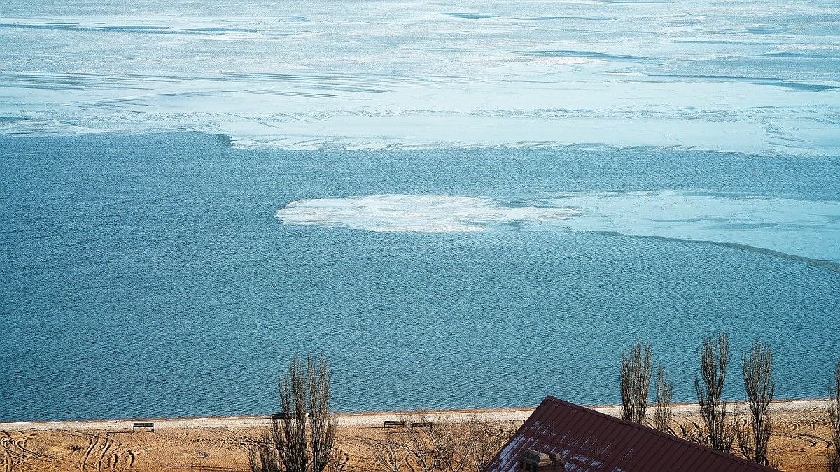 Ученые объяснили, опасен ли заход акулы катран в Азовское море