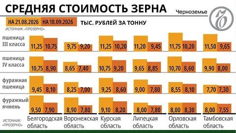 Здравое зерно: в Черноземье едва восстанавливаются цены на пшеницу третьего класса после падения в августе