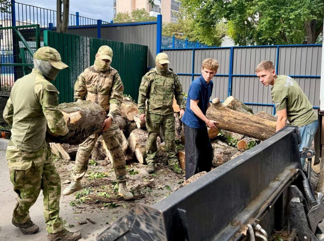 Дрова из симферопольских парков снова отправились бойцам