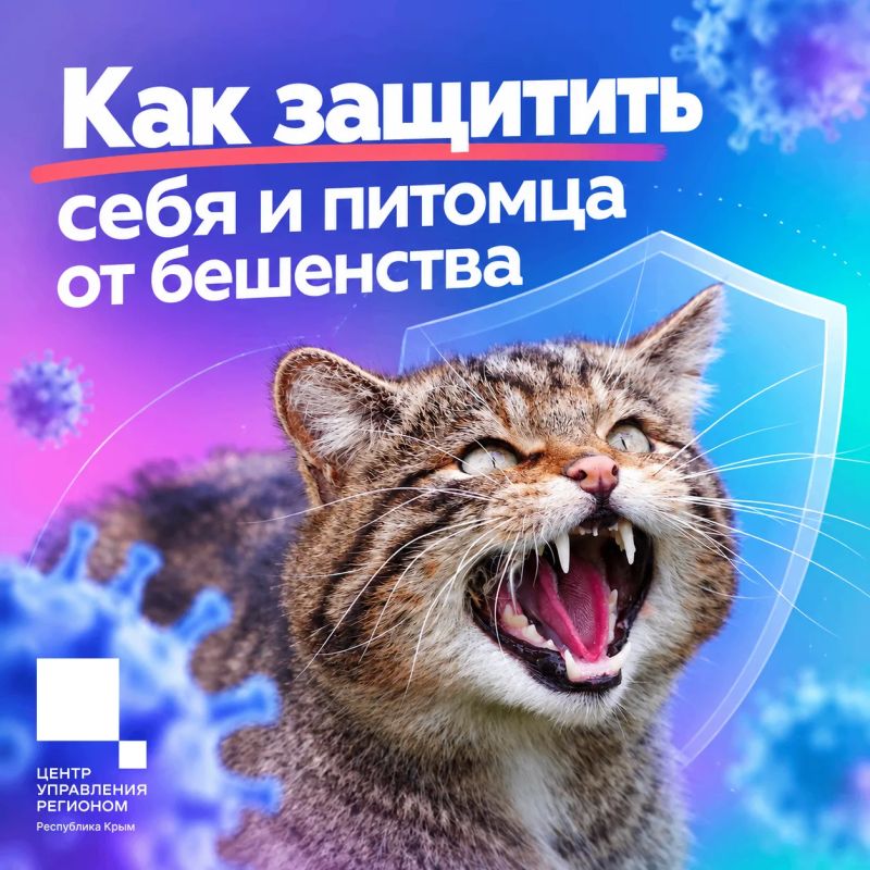 Бешенство: что важно знать