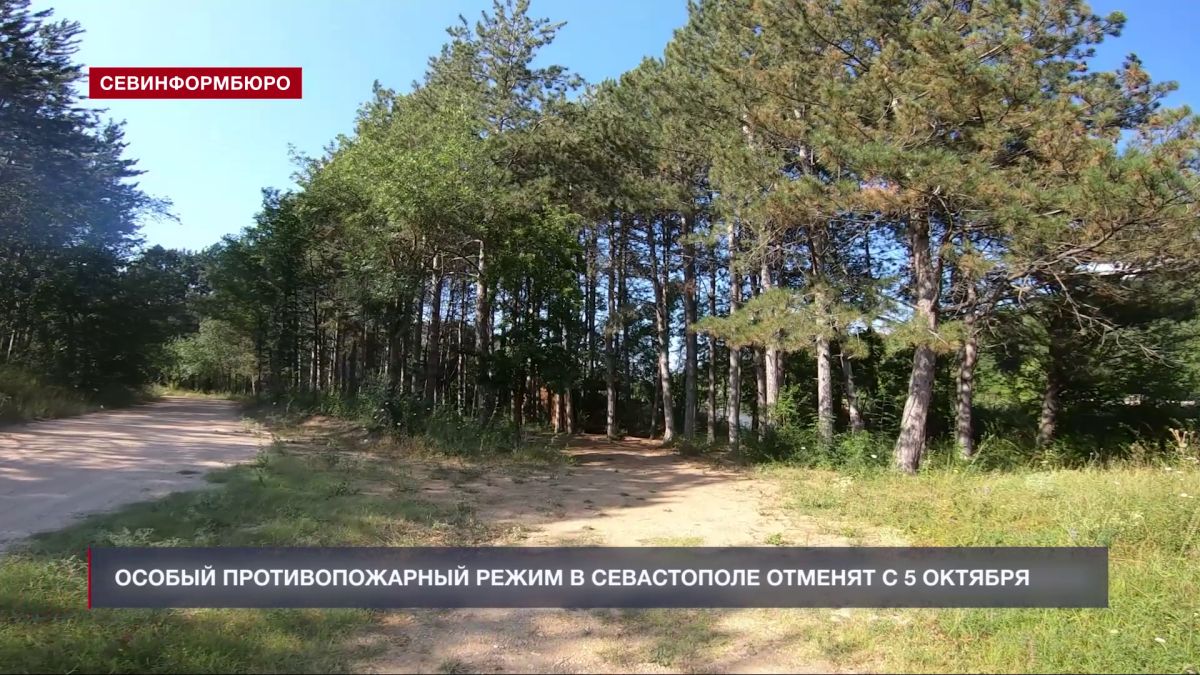 Особый противопожарный режим в Севастополе отменят с 5 октября