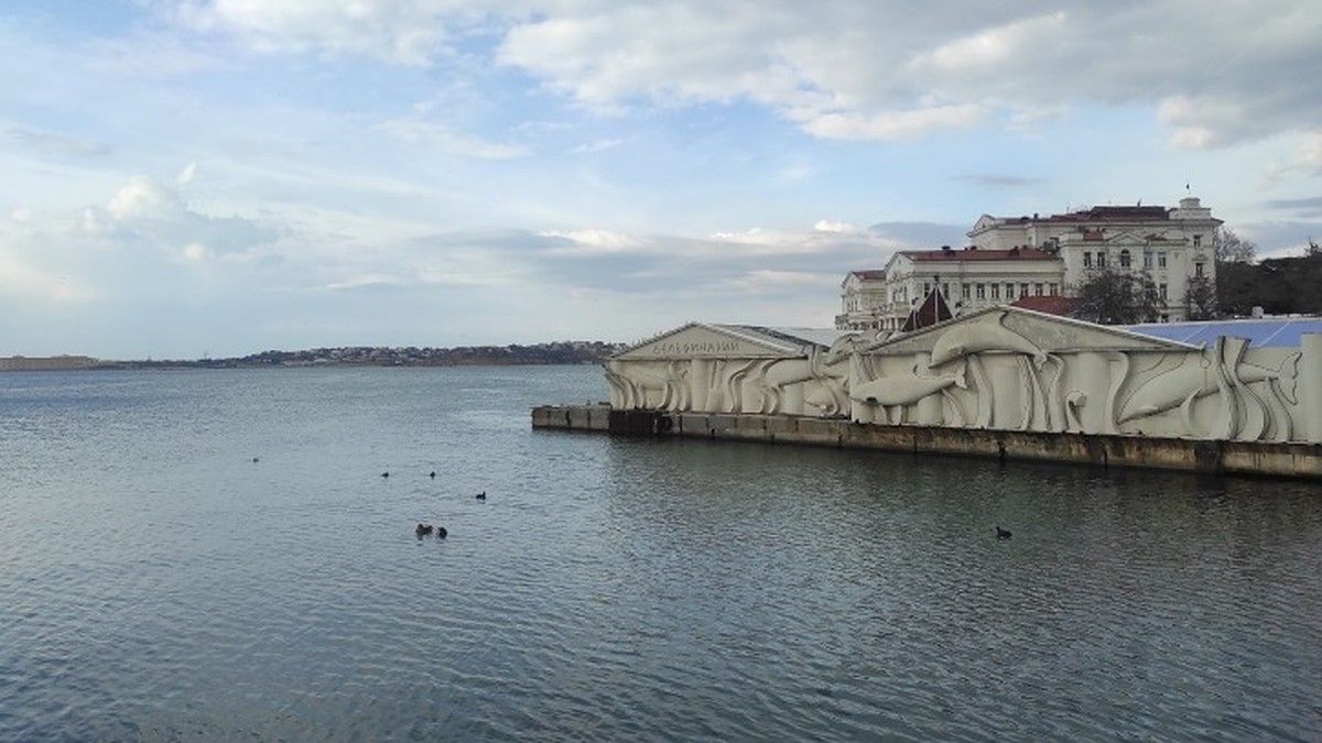 В Севастополе проводят учения флота