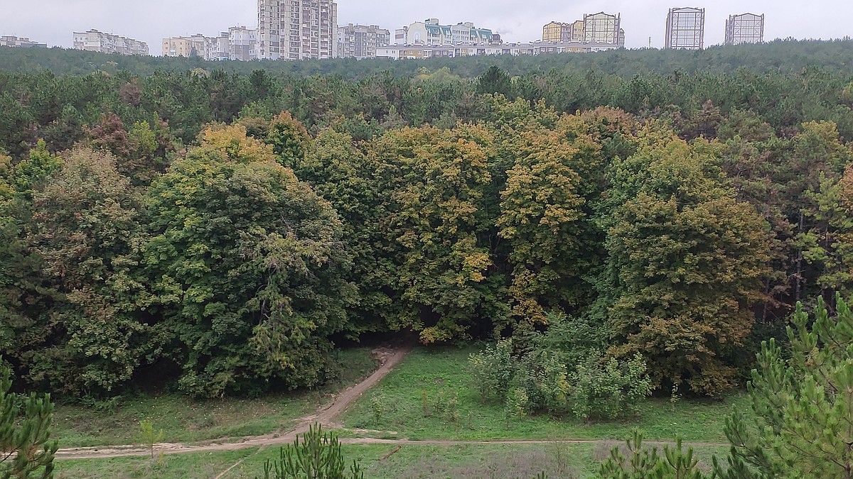 Погода на 4 октября 2026 года в Крыму и Севастополе: воздух прогреется до 20 градусов