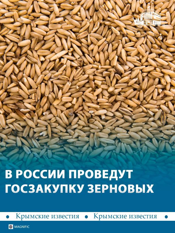 В конце октября в России могут начать госзакупки зерна