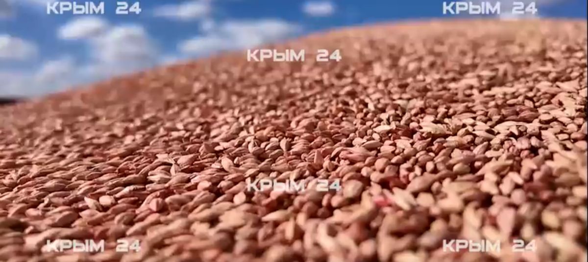 Предприятия Крыма обеспечены топливом и семенами для посевной кампании озимых