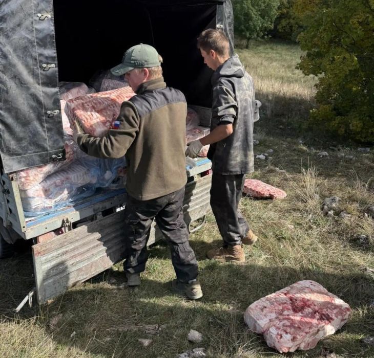 В горах Крыма провели очередную подкормку черных грифов и белоголовых сипов
