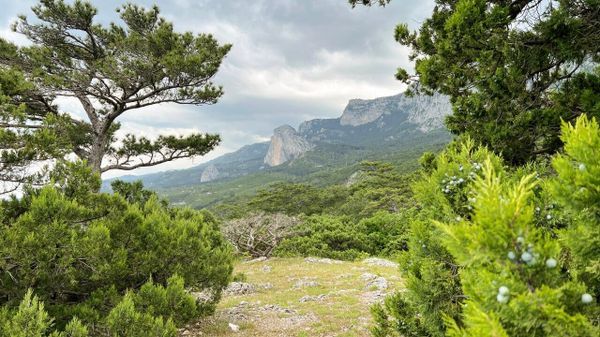 В Крыму снят запрет на посещение заповедников