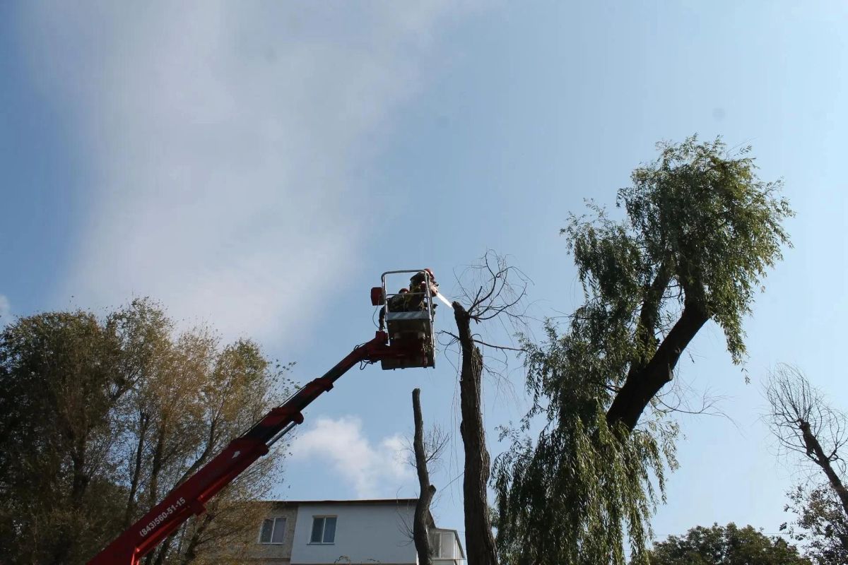 Сотрудники Службы городского хозяйства ликвидировали большое аварийное дерево на ул. Большевистской, 5. Работы провели по заявке, поступившей в Единую диспетчерскую службу