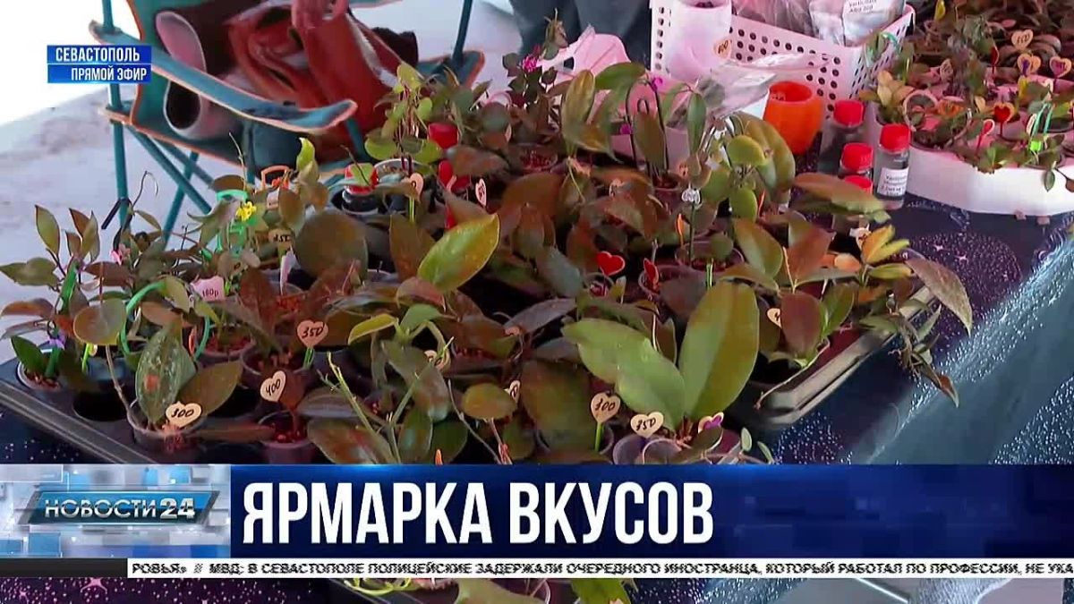 Разнообразие вкусов: 24 севастопольских предприниматели представили свою продукцию на сельскохозяйственной ярмарке
