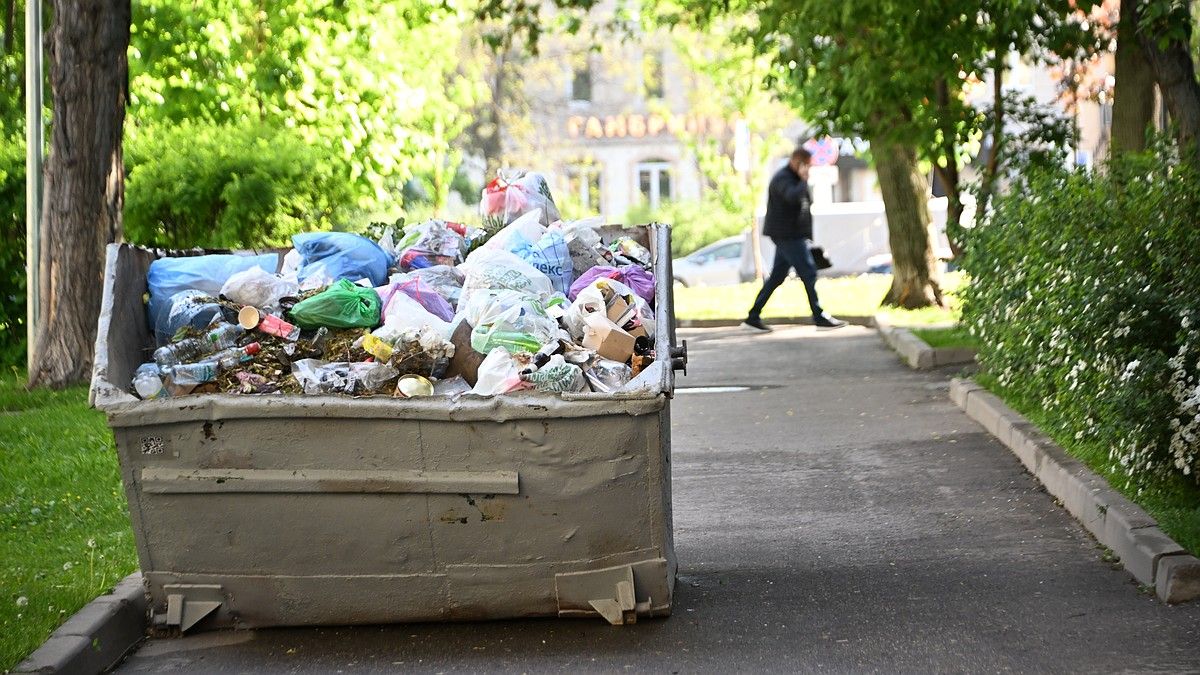 Глава Крыма поручил разобраться с проблемой свалок в СНТ «Живописное»