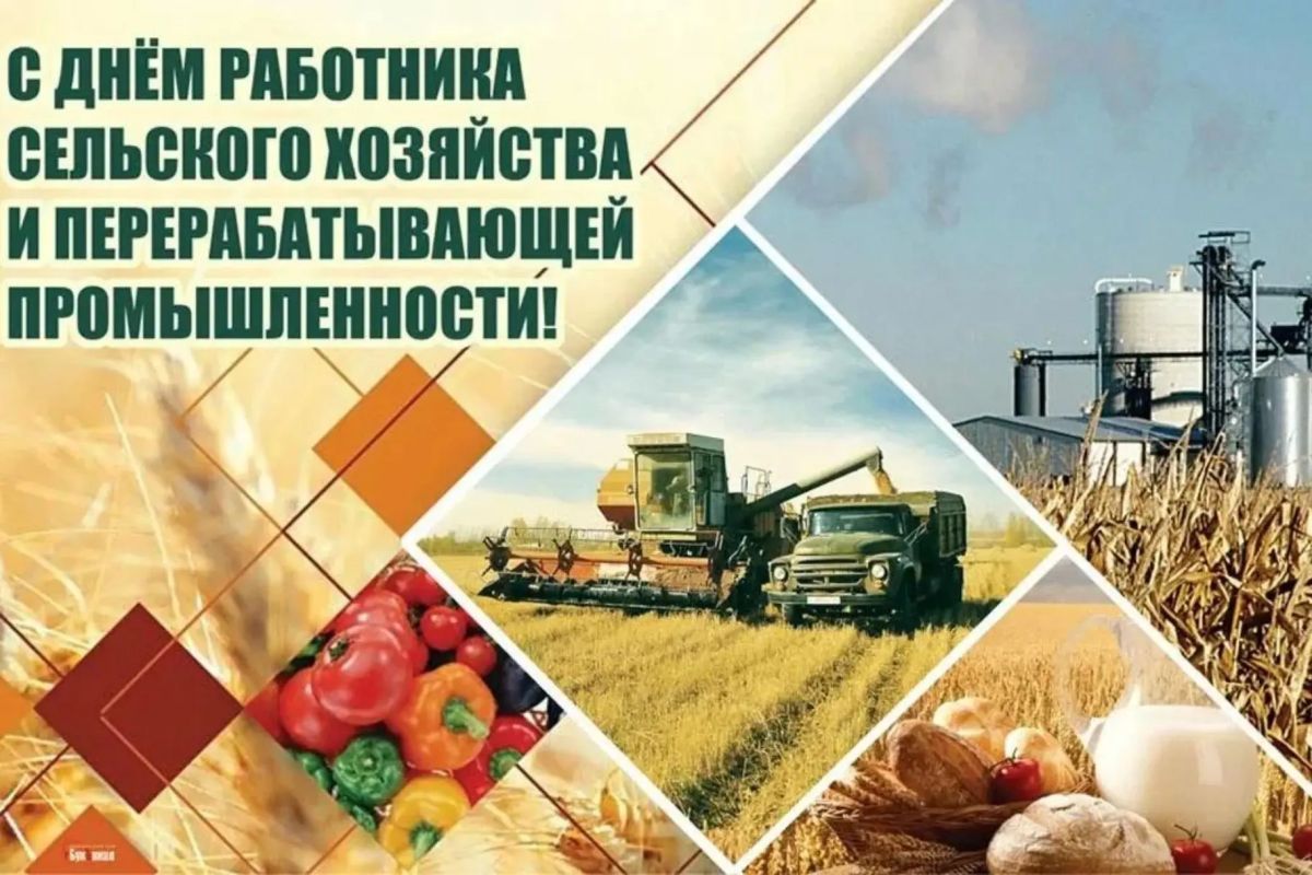 Поздравляю работников сельского хозяйства и перерабатывающей промышленности с профессиональным праздником!