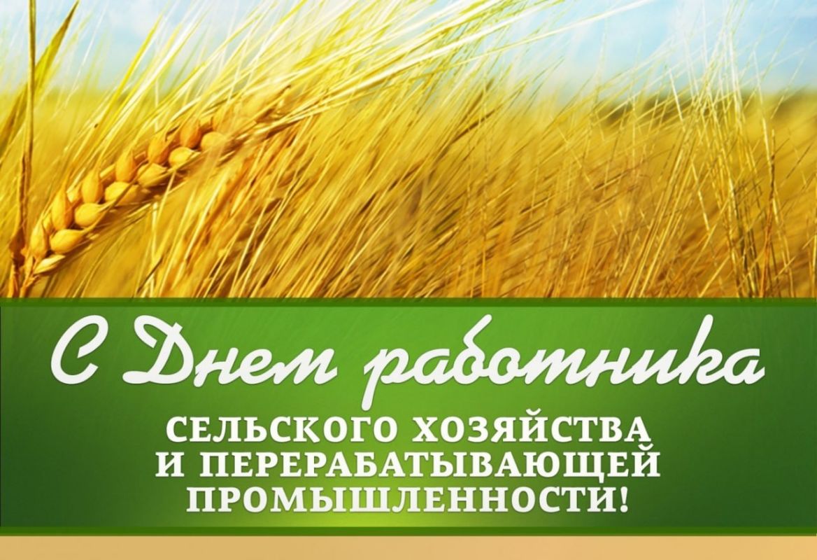 Денис Олейник: Уважаемые работники и ветераны агропромышленного комплекса Раздольненского района!