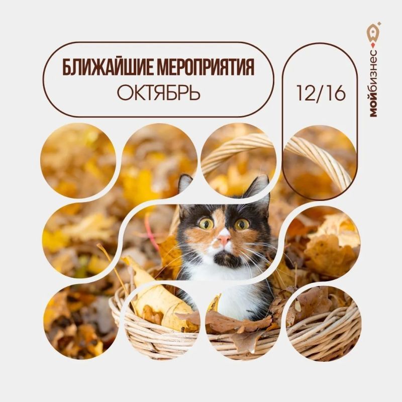 Успейте зарегистрироваться!