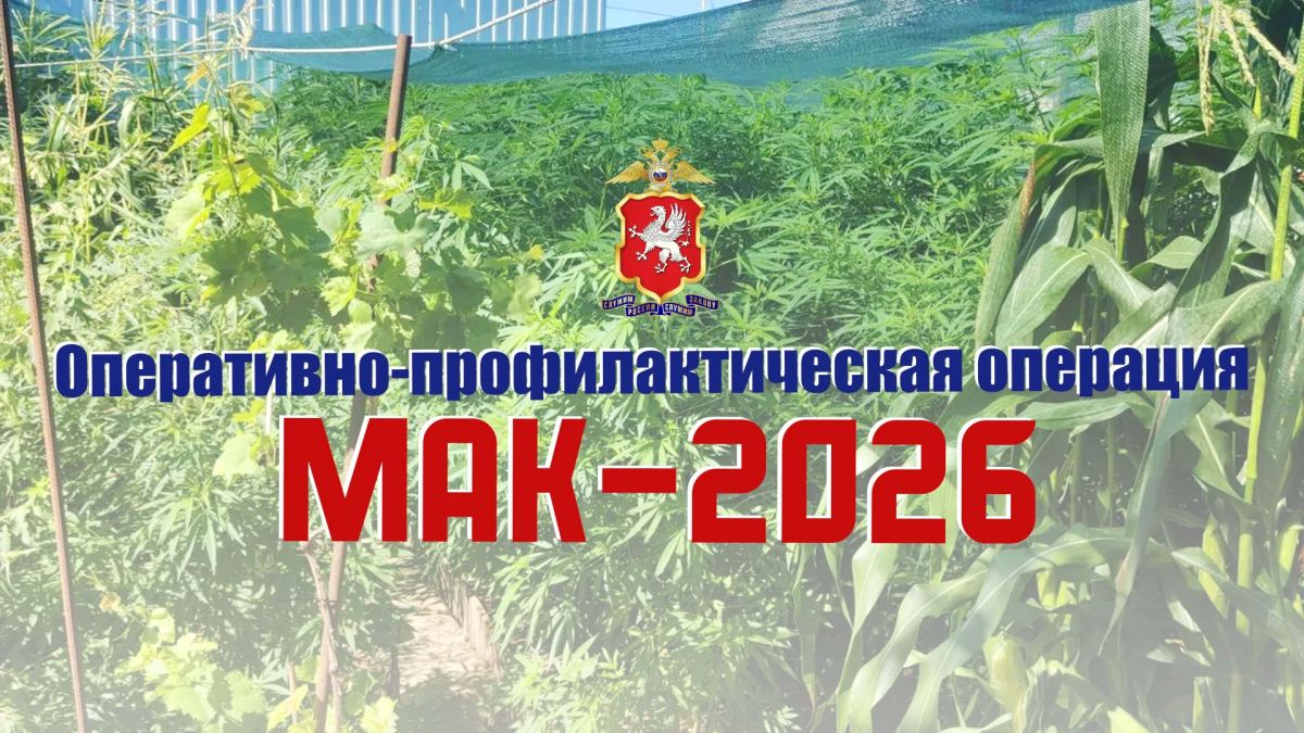 В Севастополе сотрудники полиции подвели итоги второго этапа антинаркотической операции «Мак-2026»