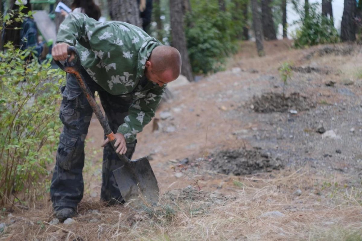 В Ялте высаживают краснокнижные растения