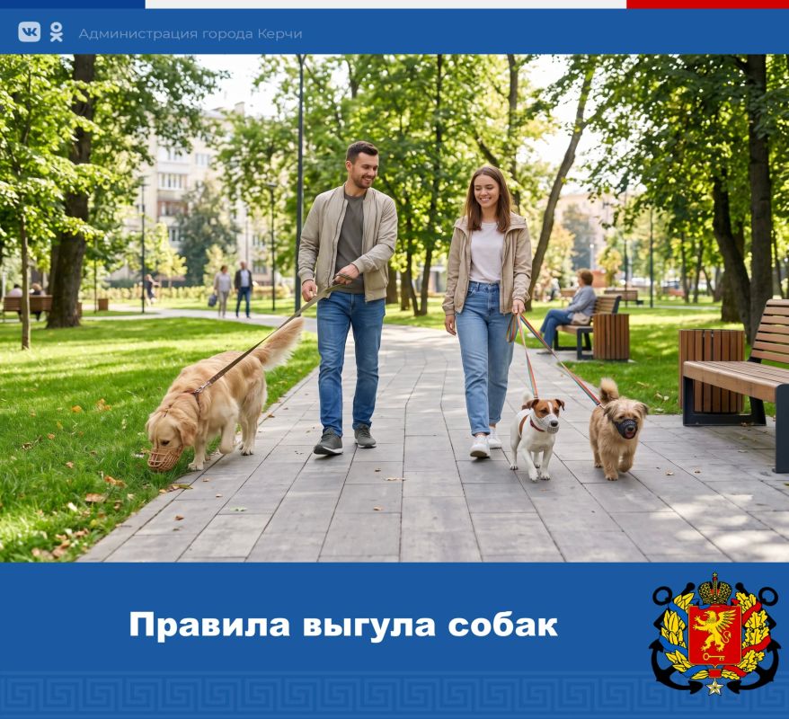 Уважаемые керчане! Напоминаем о необходимости соблюдения правил при выгуле собак