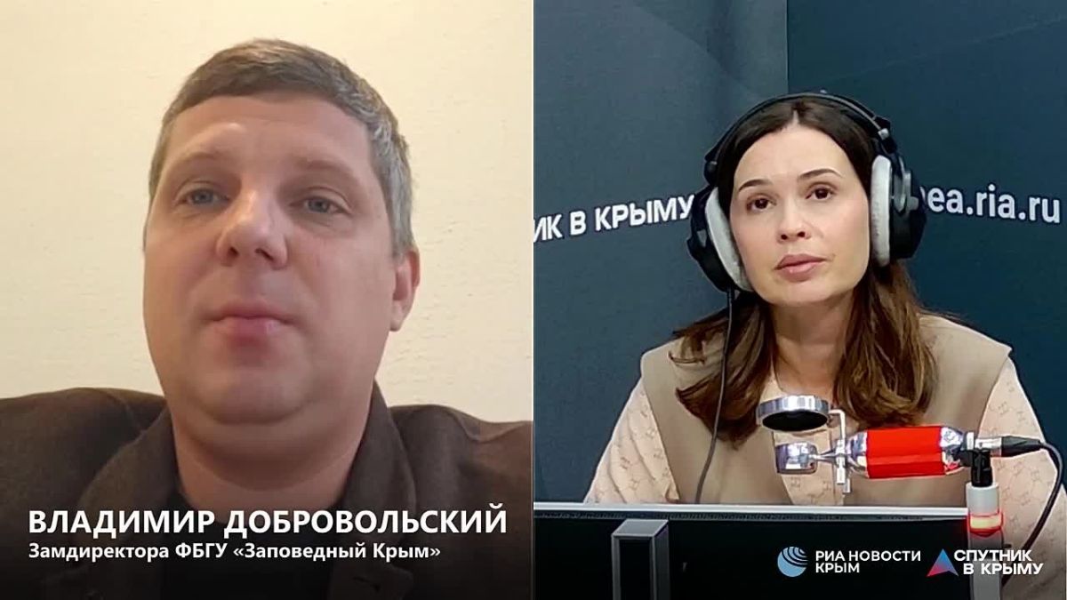 Все 25 маршрутов Ялтинского горно-лесного заповедника открыты для посещения