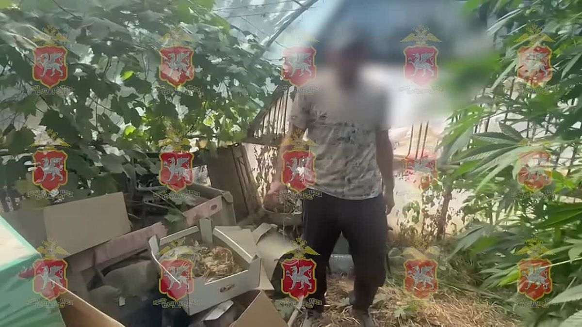 В Бахчисарае пресечён незаконный оборот наркотических средств