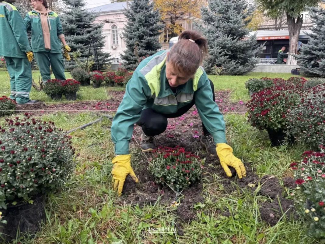В Симферополе началась осенняя высадка цветов