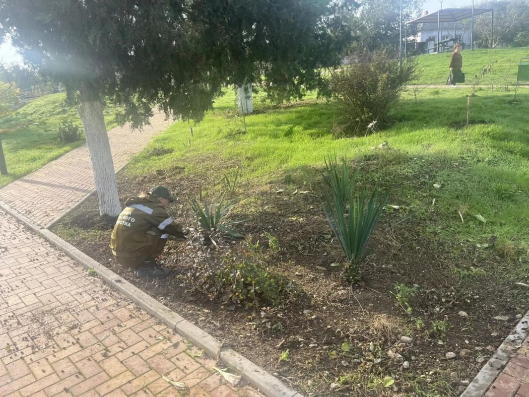 В районе Мичурино приступили к наведению порядка