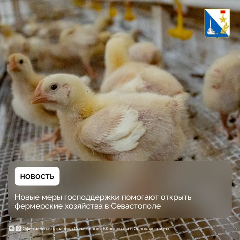 Открыть своё фермерское хозяйство в Севастополе становится проще