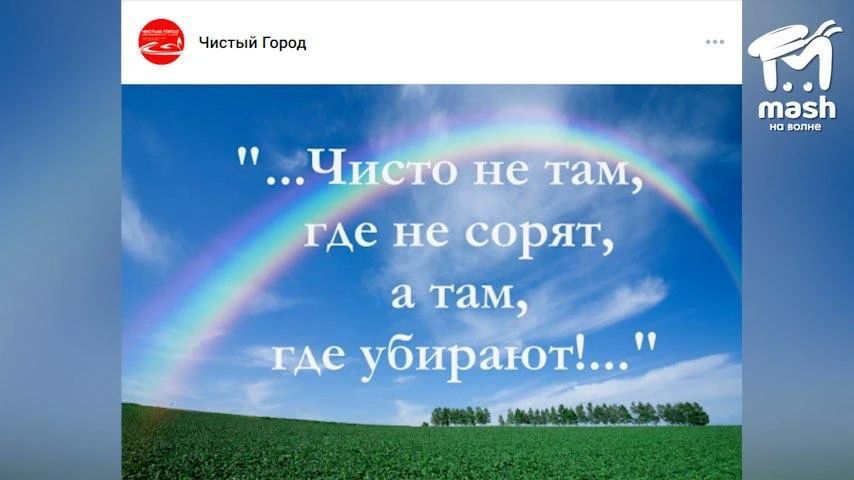 Крысы могут заполонить дворы Севастополя из-за мусорного коллапса