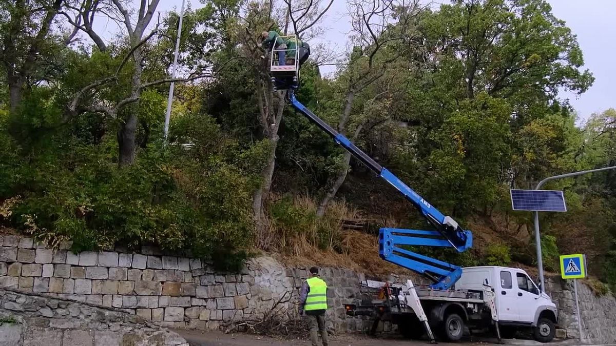 В муниципалитете активизировалась традиционная масштабная работа по санитарной обрезке деревьев, удалению сухостоя и приведению в порядок зеленых насаждений