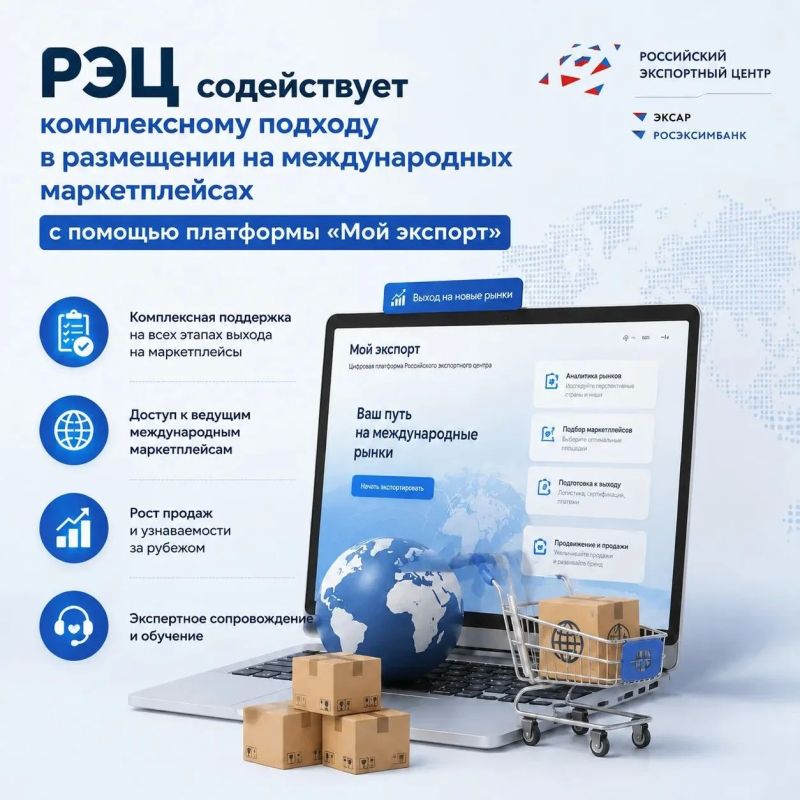 Мария Литовко: РЭЦ содействует комплексному подходу в размещении на международных маркетплейсах с помощью платформы «Мой экспорт»
