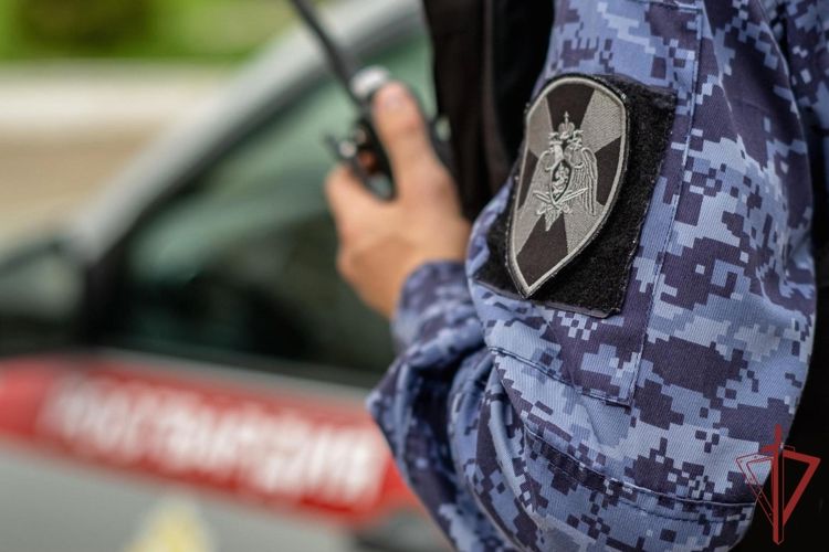 В пригороде Симферополя росгвардейцы задержали подозреваемых в серии краж