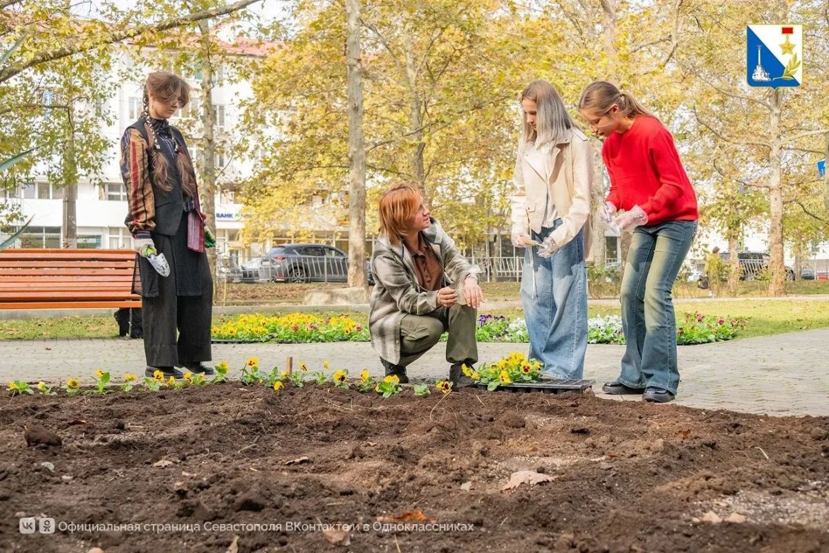 Детские рисунки из анютиных глазок: Севастополь украсили уникальными цветочными клумбами