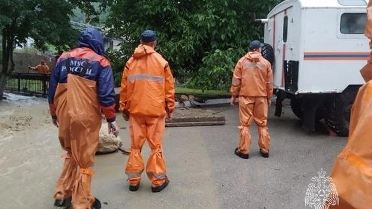 В Крыму зафиксировали 12 случаев падения столбов и деревьев